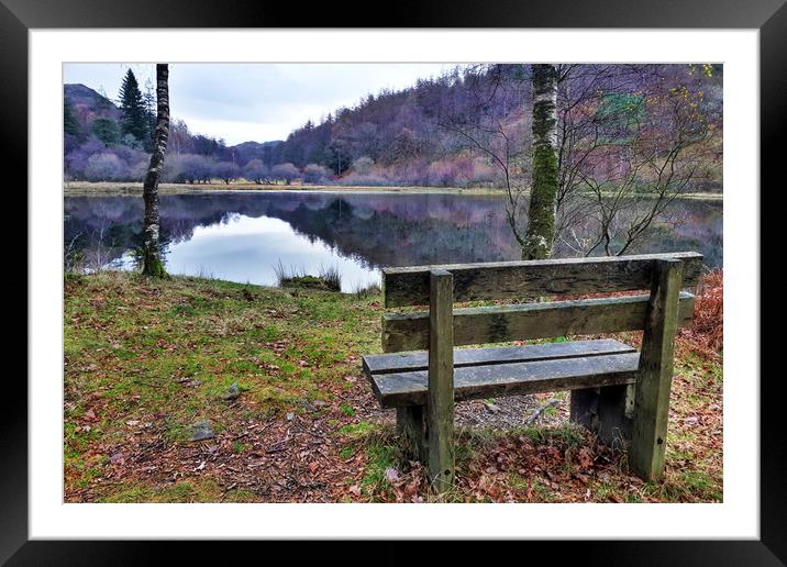 Relax at Yew Tree Tarn  Framed Mounted Print by Sarah Couzens