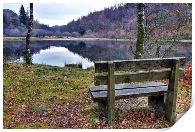 Relax at Yew Tree Tarn  Print by Sarah Couzens