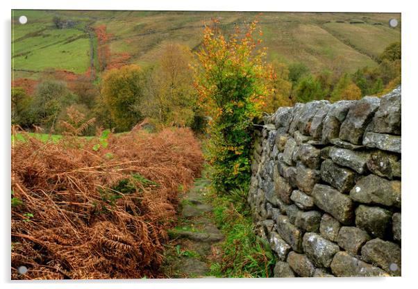 Lumb Falls Path Acrylic by Diana Mower