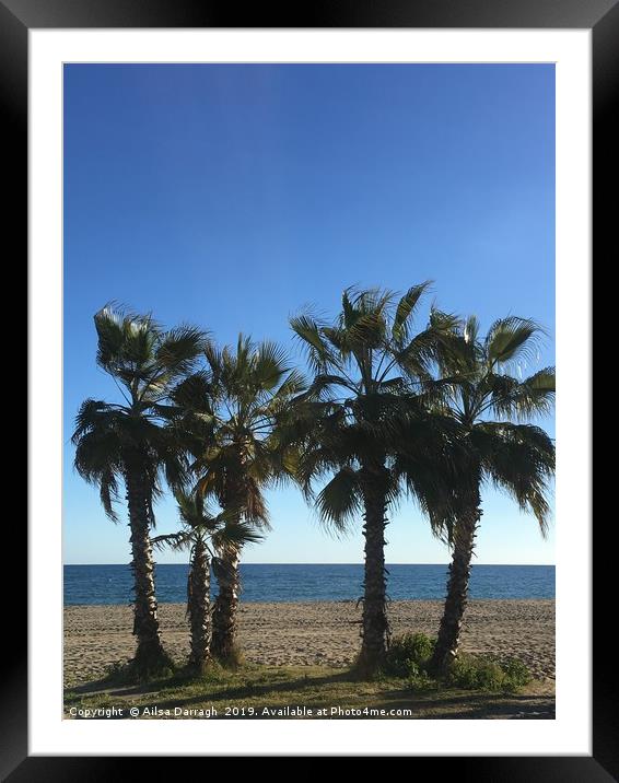 Palm Trees on La Cala beach Framed Mounted Print by Ailsa Darragh