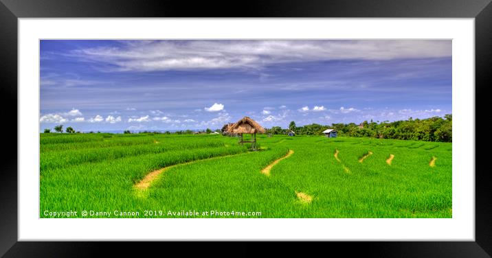 Fields of Green Framed Mounted Print by Danny Cannon