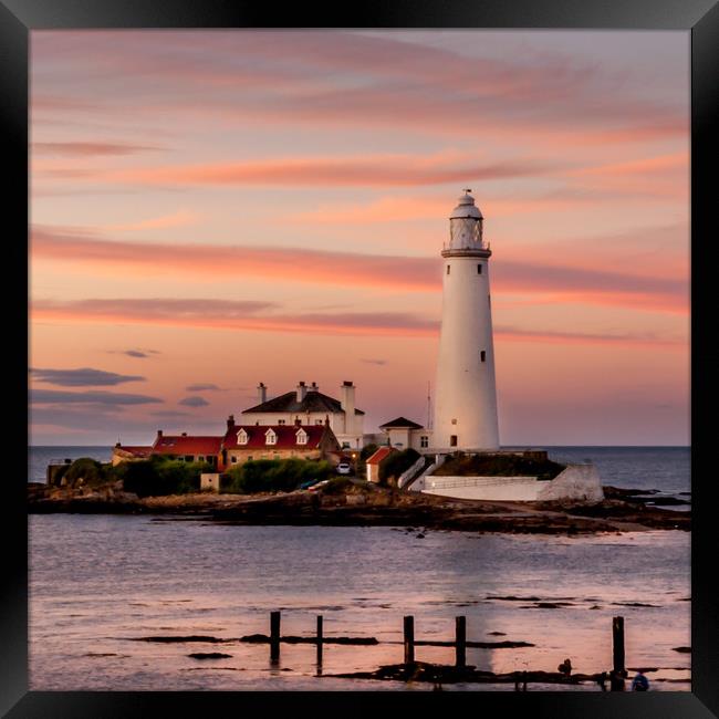 Evening twilight St Mary's Lighthouse Framed Print by Naylor's Photography