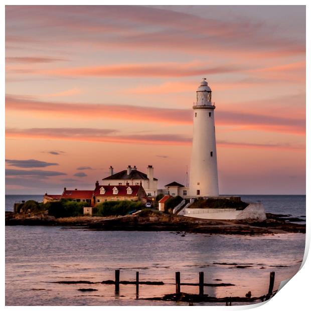 Evening twilight St Mary's Lighthouse Print by Naylor's Photography