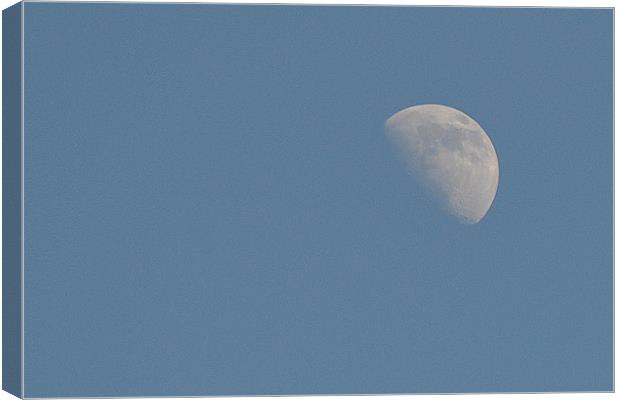 Mr Moon, you're out too soon Canvas Print by Darrin Collett