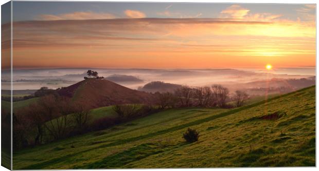 Colmer's Hill Panorama Canvas Print by David Neighbour