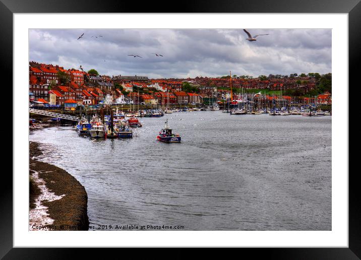 Whitby Marina Framed Mounted Print by Tom Gomez