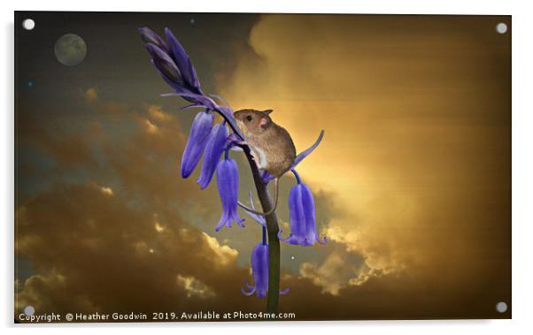 Skybells Acrylic by Heather Goodwin