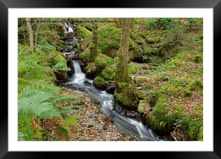 AUTUMN STREAM  Framed Mounted Print by andrew saxton