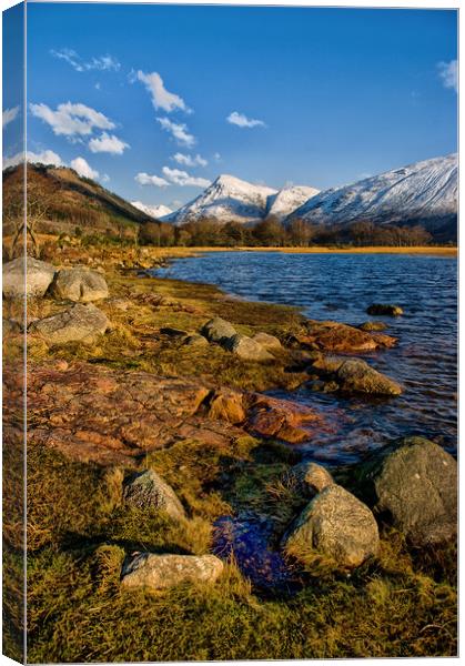 By The Shores of Loch Etive Canvas Print by Jacqi Elmslie