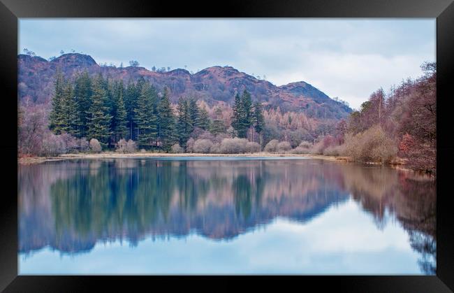 Pastel Shades of Yew Tree Tarn Framed Print by David McCulloch