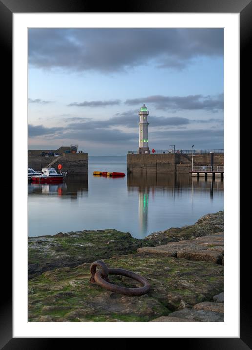Newhaven lighthouse at sunset Framed Mounted Print by Miles Gray