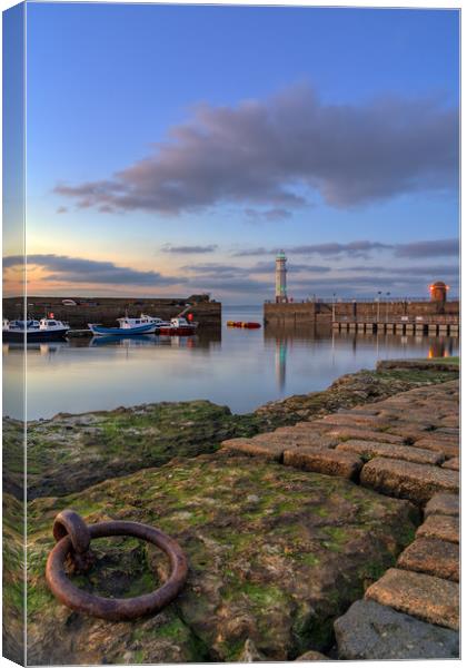 Newhaven lighthouse at sunset Canvas Print by Miles Gray