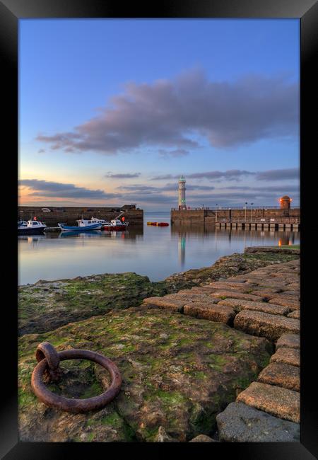 Newhaven lighthouse at sunset Framed Print by Miles Gray