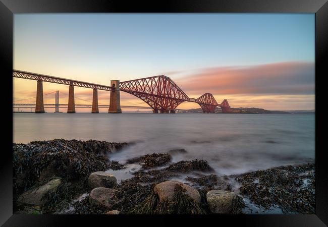 The Forth Bridge at Sunset Framed Print by Miles Gray