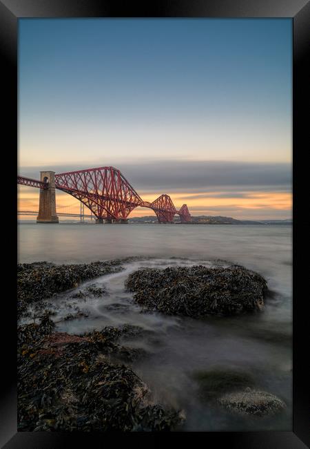 Forth Bridge at High Tide Framed Print by Miles Gray