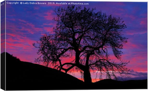 Frandy Tree at Sunrise  Canvas Print by Lady Debra Bowers L.R.P.S