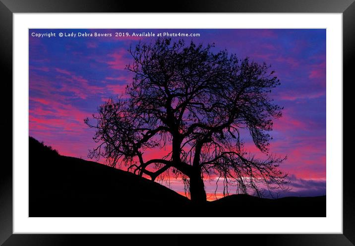 Frandy Tree at Sunrise  Framed Mounted Print by Lady Debra Bowers L.R.P.S