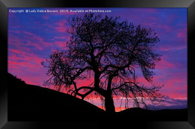 Frandy Tree at Sunrise  Framed Print by Lady Debra Bowers L.R.P.S