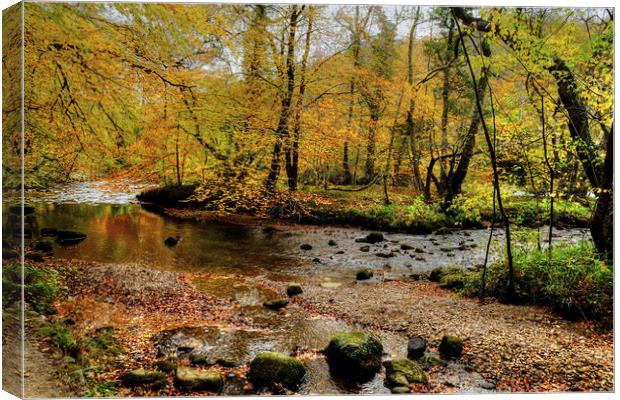 Lud Stream Islands  Canvas Print by Diana Mower