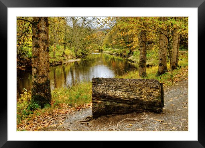 The River Wharfe Coin Seat Framed Mounted Print by Diana Mower