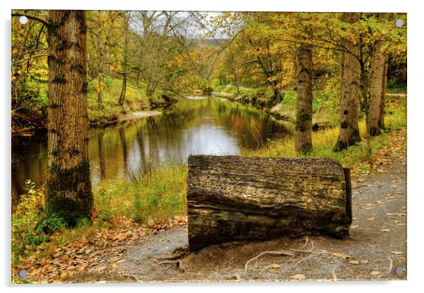 The River Wharfe Coin Seat Acrylic by Diana Mower