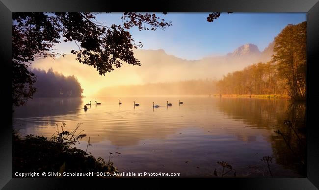 peaceful morning Framed Print by Silvio Schoisswohl
