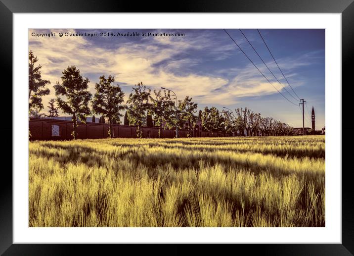 City wheatfield Framed Mounted Print by Claudio Lepri