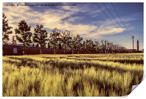 City wheatfield Print by Claudio Lepri
