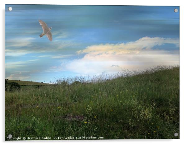 Meadowlands Acrylic by Heather Goodwin