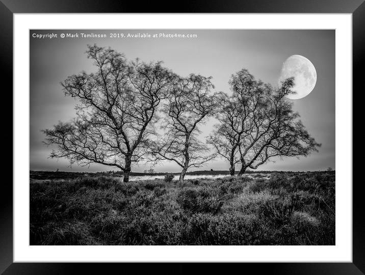 Three Trees Framed Mounted Print by Mark Tomlinson