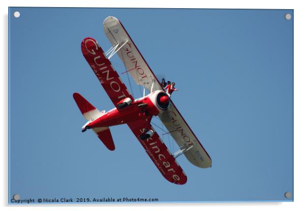 Wing Walker Acrylic by Nicola Clark