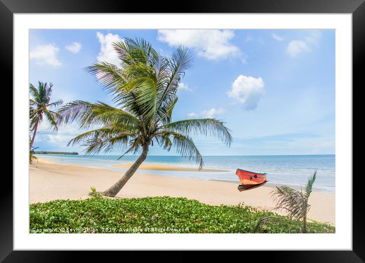 Palm tree on tropical beach Framed Mounted Print by Kevin Hellon