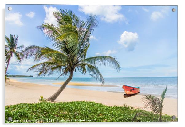 Palm tree on tropical beach Acrylic by Kevin Hellon