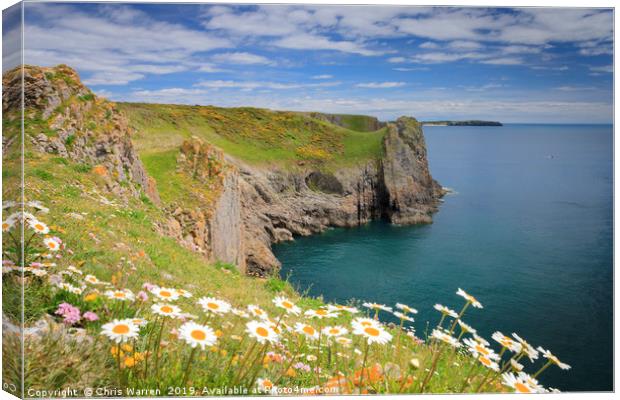 Spring flowers at Lydstep headland near Tenby  Canvas Print by Chris Warren