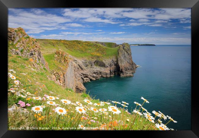 Spring flowers at Lydstep headland near Tenby  Framed Print by Chris Warren