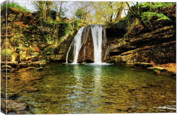  Janets Foss Canvas Print by Diana Mower