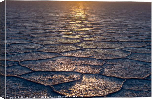 Salt flat scales Canvas Print by Claire Turner