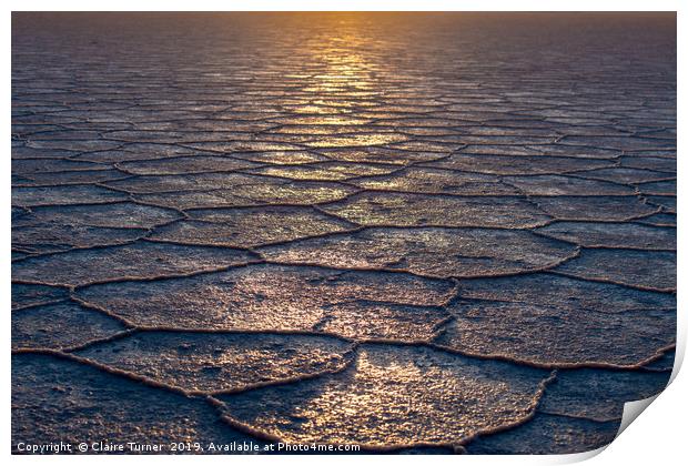 Salt flat scales Print by Claire Turner