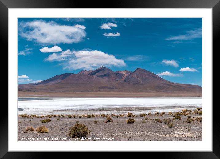 Salt lake and mountains Framed Mounted Print by Claire Turner
