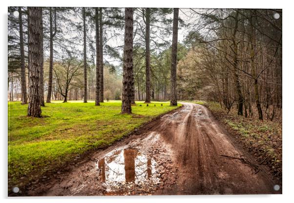 Path through a Woods Acrylic by Svetlana Sewell
