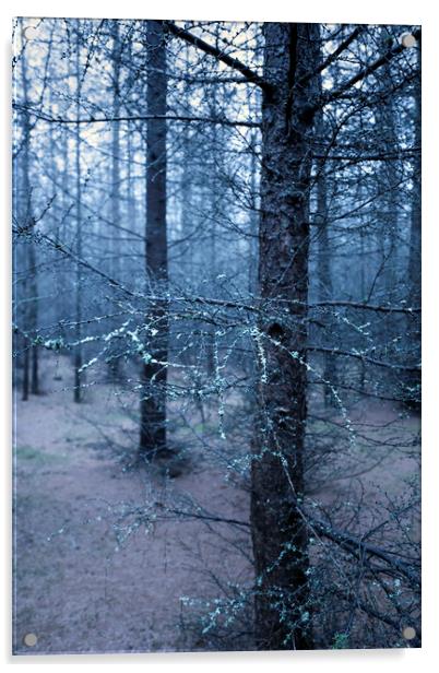 Mossy Branch Acrylic by Svetlana Sewell