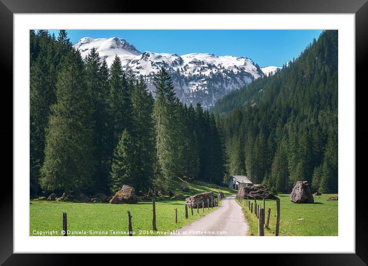Road toward the green forest and the Swiss Alps. S Framed Mounted Print by Daniela Simona Temneanu