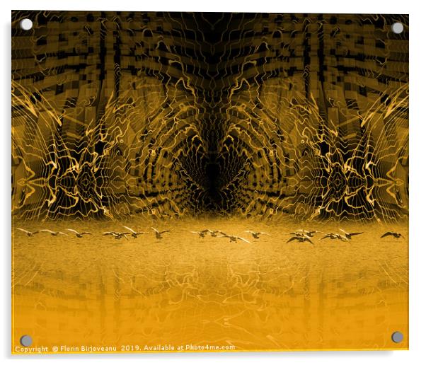 Birds Neural Acrylic by Florin Birjoveanu