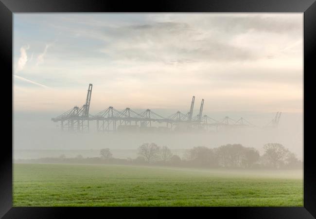 Dock Cranes Framed Print by Svetlana Sewell