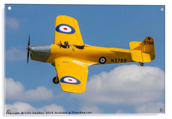 Miles Magister I N3788 G-AKPF Acrylic by Colin Smedley