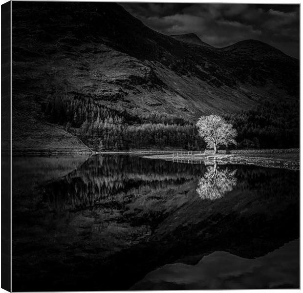 Buttermere Sentinel #4 Canvas Print by Paul Andrews