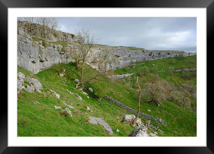 Malham Cove Landscape Framed Mounted Print by Diana Mower