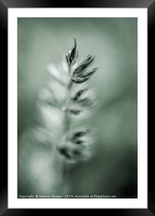 On my own Framed Mounted Print by Hannan Images