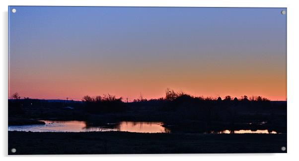Sunset over pond Acrylic by Irina Walker