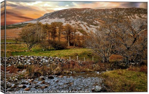 "Autumn at Ennerdale" Canvas Print by ROS RIDLEY